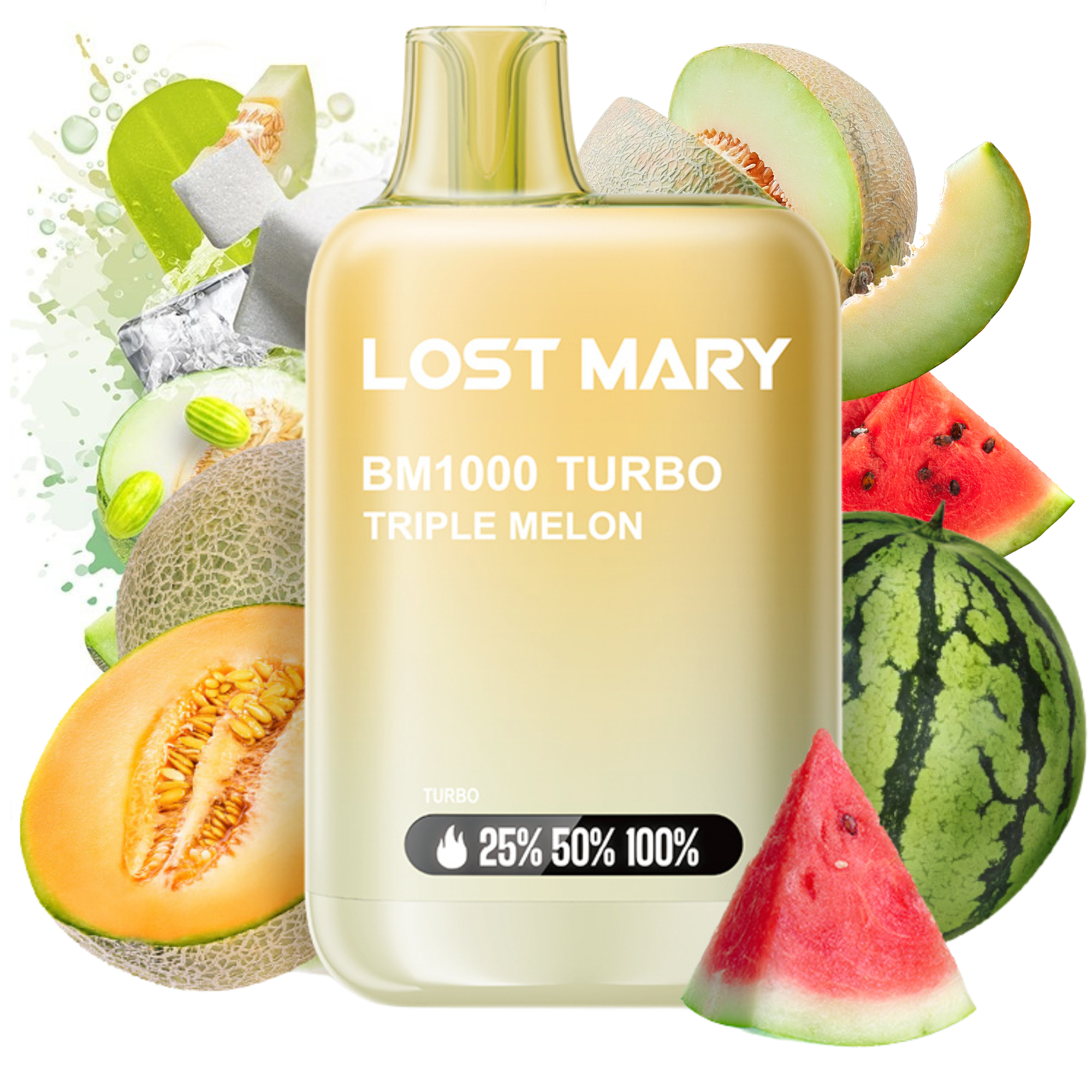 BM1000 LOST MARY
