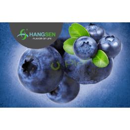 ARÁNDANO Hangsen 10ml/30ml ✭ BLUEBERRY Hangsen