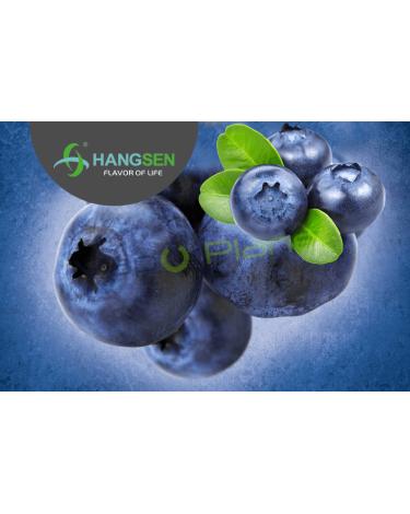 ARÁNDANO Hangsen 10ml/30ml ✭ BLUEBERRY Hangsen