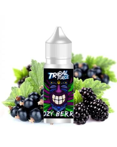 Aroma COZY BERRIE Tribal Force 30ml