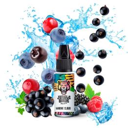 Aroma MARINE CLOUD - Jungle Wave - 10 ml