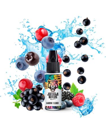 Aroma MARINE CLOUD - Jungle Wave - 10 ml