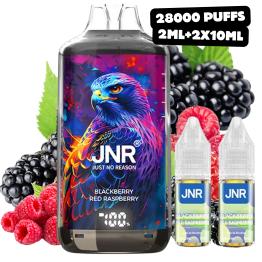 Blackberry Red Raspberry Falcon-X JNR | 28000 Puffs |