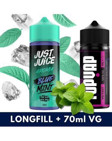Blue Mint Range 24ml/120 (Longfill) - Just Juice + 70ml VG Fast