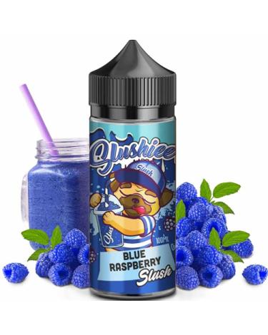 Blue Raspberry Slush 100ml + Nicokit gratis - Slushiee