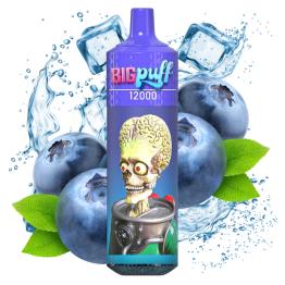 Blueberry Ice 12000 Puffs - Big Puff (SIN NICOTINA)