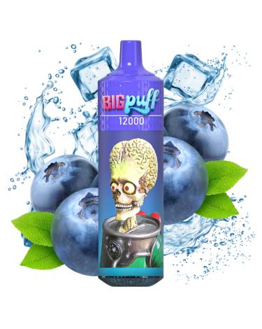 Blueberry Ice 12000 Puffs - Big Puff (SIN NICOTINA)