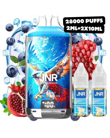 Blueberry Pomegranate Ice Falcon-X JNR | 28000 Puffs |