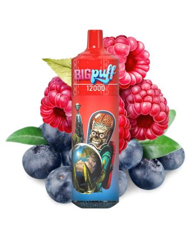 Blueberry Raspberry 12000 Puffs - Big Puff (SIN NICOTINA)