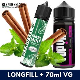 Cinna Mint 20ml/60 (Longfill) Blendfeel Pianeta Menta + 70ml VG
