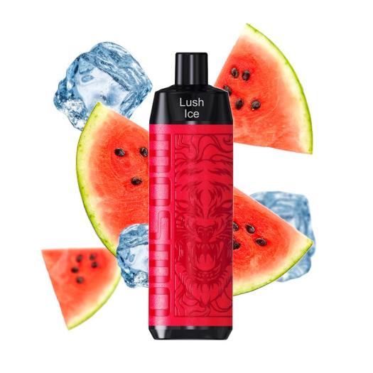 Cloud Chasing 5000 Puff Lush Ice 0mg Storm X - Mosmo