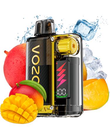 Desechable | Mango Ice | Vozol Vista Plug Kit 10000 puffs 20mg 2ml + 10ml