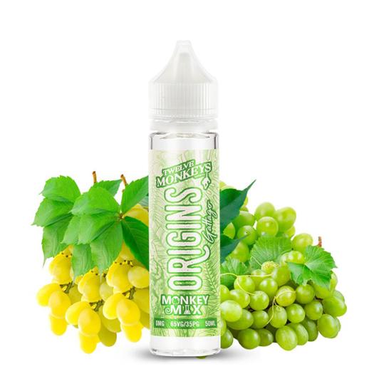 GATTAGO - 12 Monkeys Vapor Co. 60ml Líquidos para Vapear