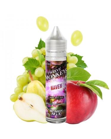 Haven 50ml + Nicokit gratis - Twelve Monkeys Oasis