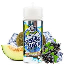 ▷ Honeydew & Blackurrant Ice 100ml + 2 Nicokit Gratis - Polar Juice 【120ml】