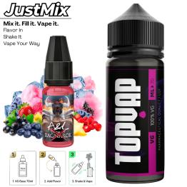 JustMix Ragnarok X Ultimate A&L