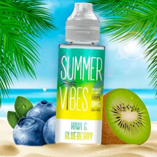 KIWI & BLUEBERRY Summer Vibes 100ml + NIcokits