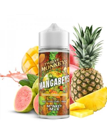 MANGABEYS Twelve Monkeys Vapor Co. 100ml + Nicokits Gratis