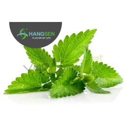 MENTA Hangsen 10ml/30ml ✭ Líquidos Hangsen MINT