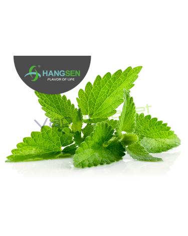 MENTA Hangsen 10ml/30ml ✭ Líquidos Hangsen MINT