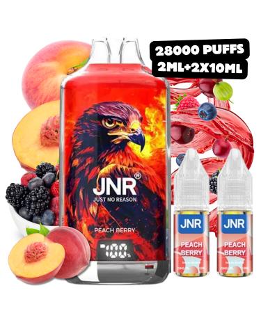 Peach Berry Falcon-X JNR | 28000 Puffs |