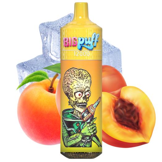 Peach Ice 12000 Puffs - Big Puff (SIN NICOTINA)